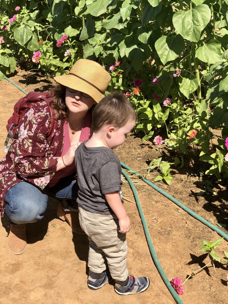 Mom and toddler looking at flowers at pumpkin patch